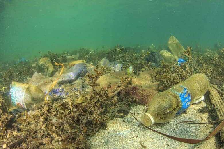 Plastic waste piling up on the sea bed