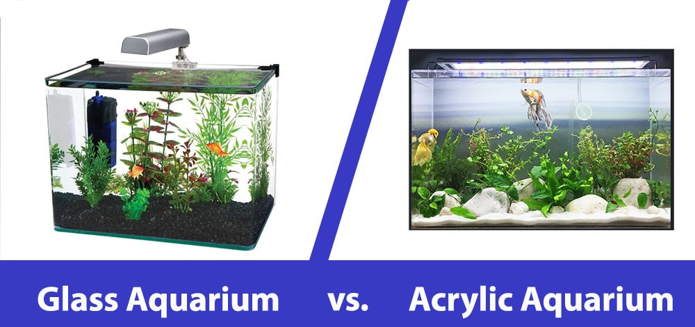 glass vs acrylic aquariums