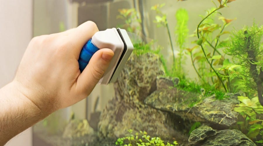 for Keeping Algae Off Fish Tank Glass Keeps Hands Dry Aquarium Cleaning Magnet