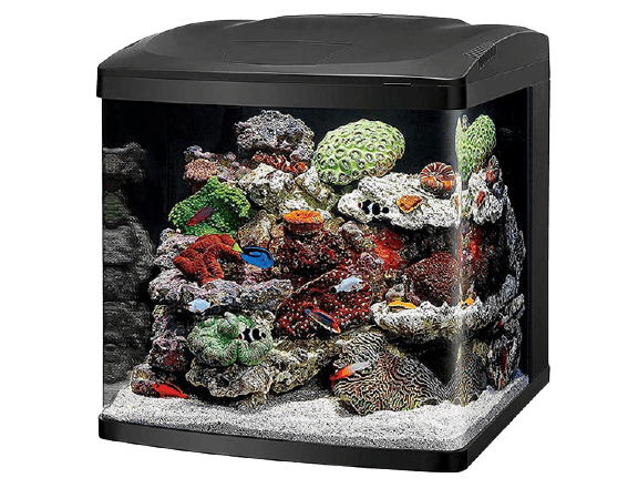 Coralife-LED-Biocube
