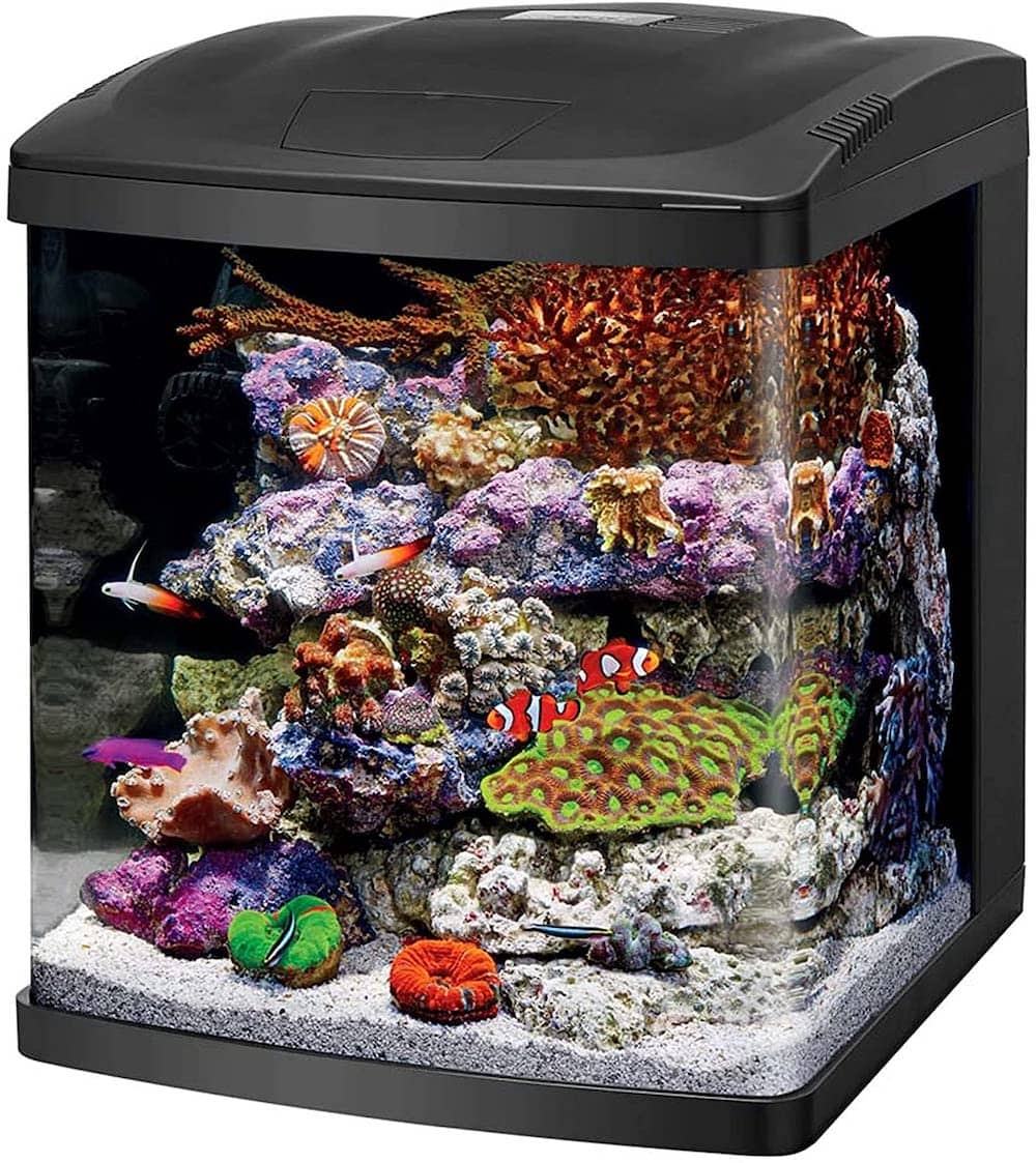 Coralife LED biocube aquarium