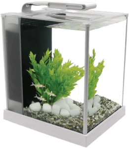 fluval spec 10 aquarium kit