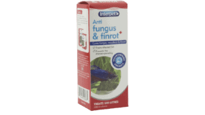 Interpet_Anti_Fungus_And_Finrot