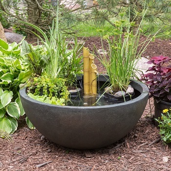 Patio Pond Containers For Water Gardens, Plants For Small Patio Pond