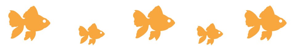 goldfish divider