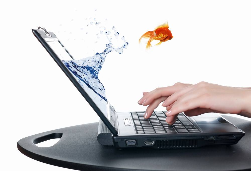goldfish coming out of computer sale online