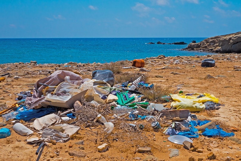 plastic garbage in sea shore